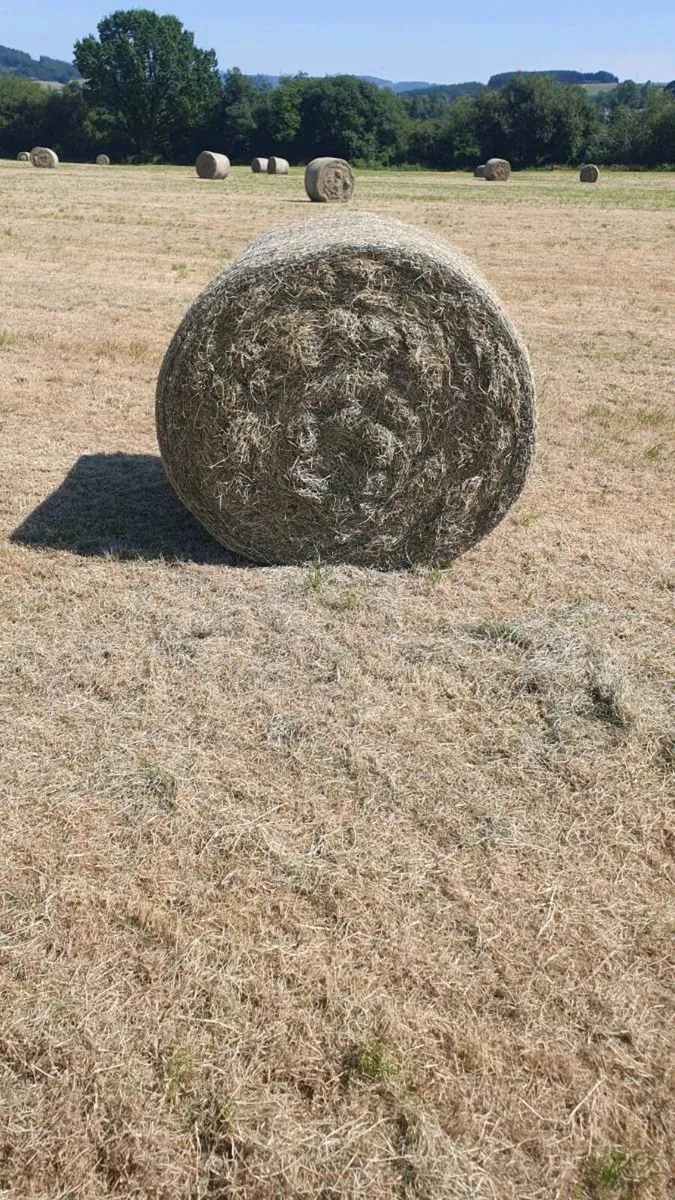Hay Bales - Image 2