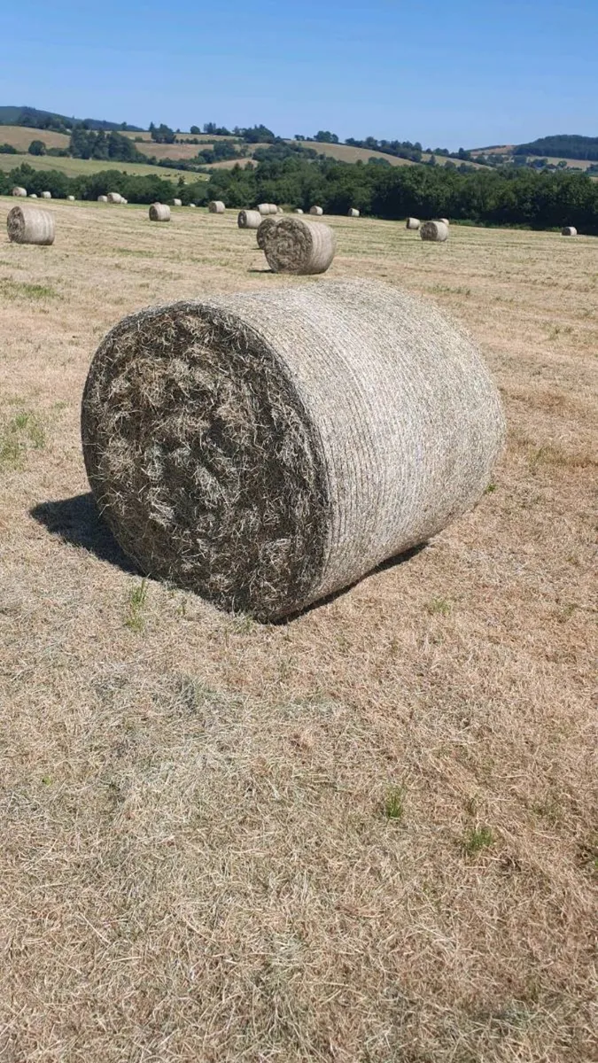 Hay Bales - Image 3