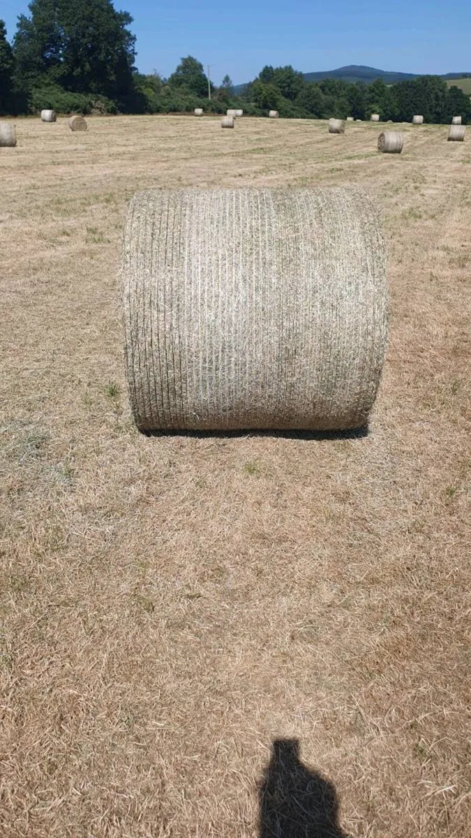 Hay Bales - Image 4