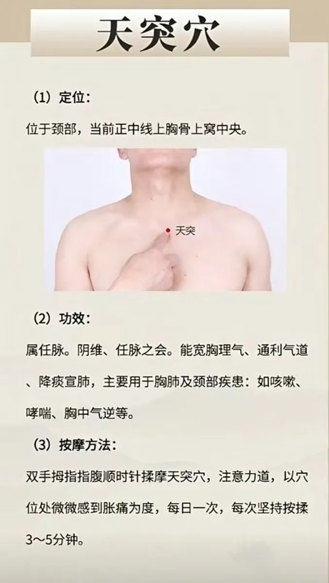 Professional Mobile Massage Service - Image 3