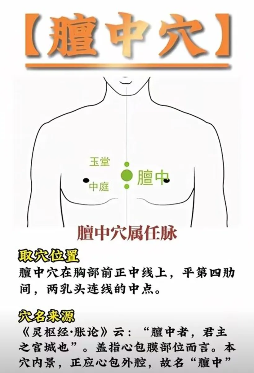 Professional Mobile Massage Service - Image 4