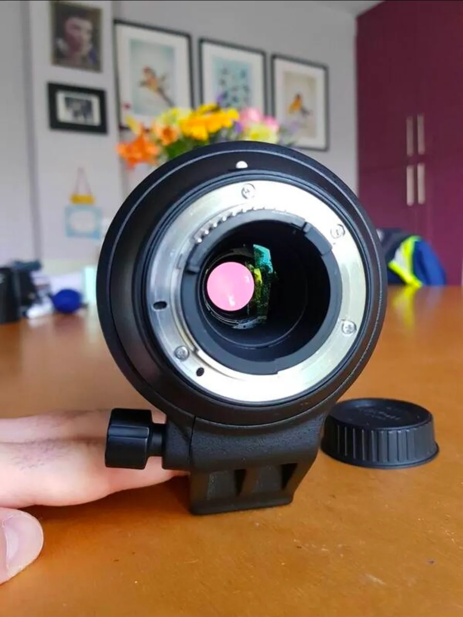 Nikon 200-500 5.6 Lens - Image 3