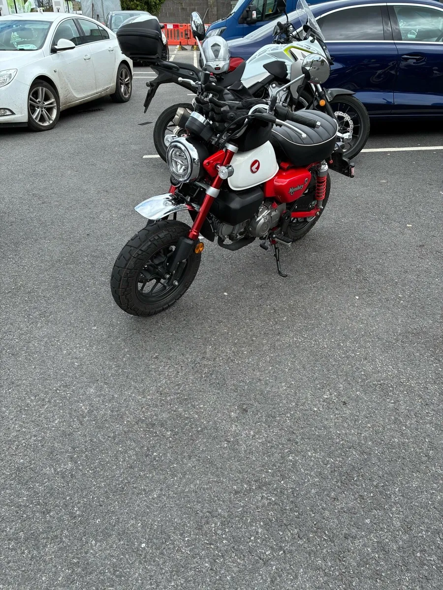 Monkey bike run - Image 2