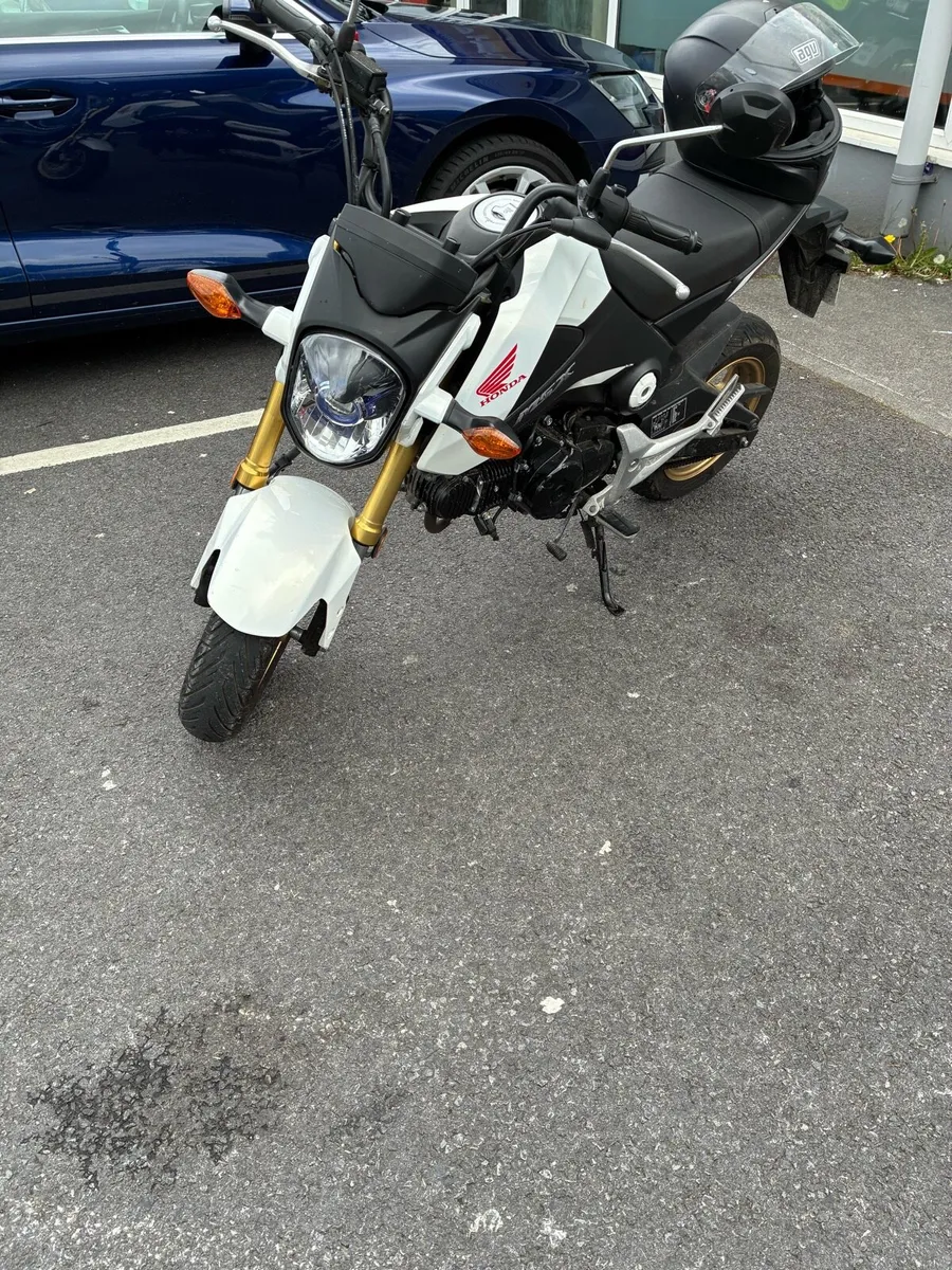 Monkey bike run - Image 3