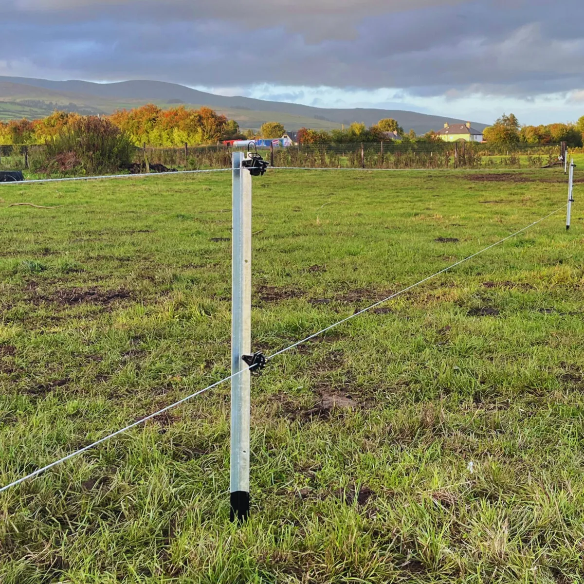 NEW - BlackBoot 1.5m Steel Dairy Fence Posts - Image 4