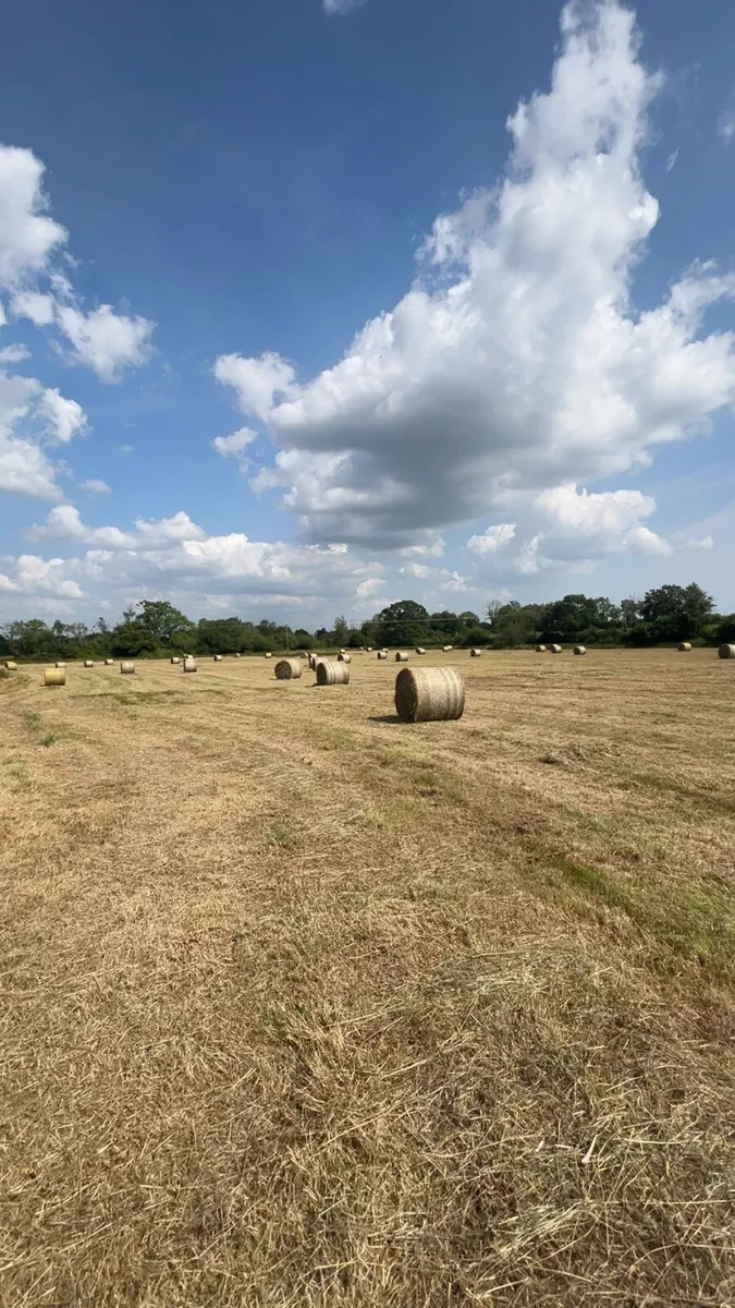 Round bales of Hay - Image 1