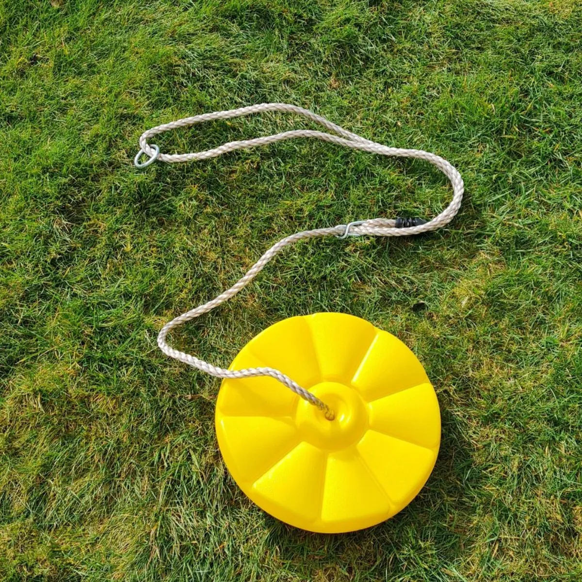 Disc Swing - Image 1