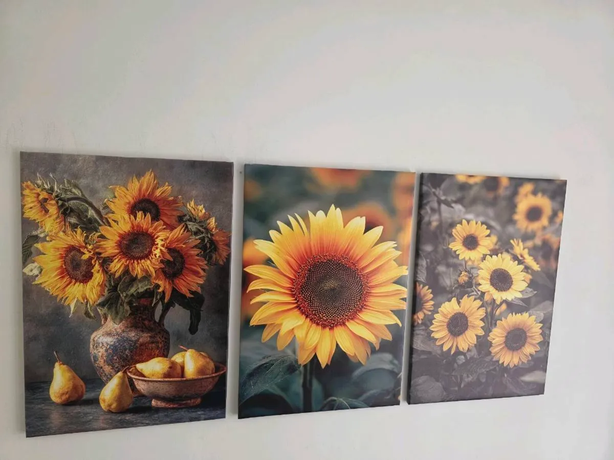 3 canvas 45x65cm each - Image 1