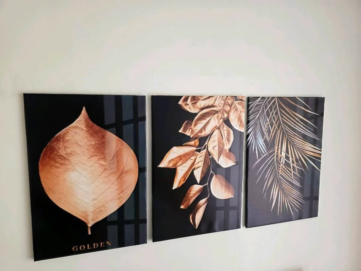 3 canvas 45x65cm each - Image 2