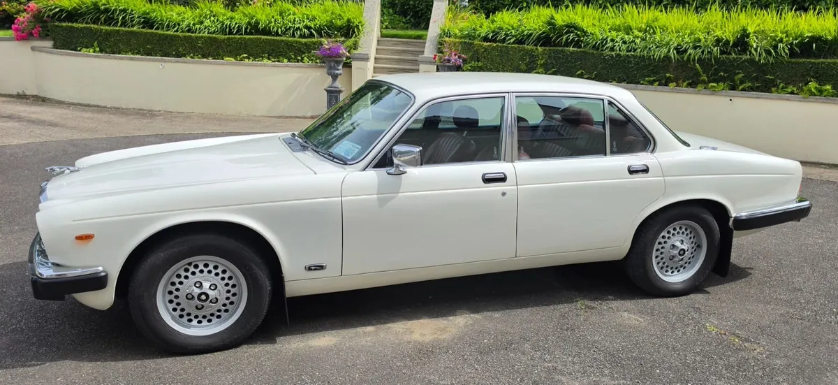 Jaguar XJ 1980 - Image 3