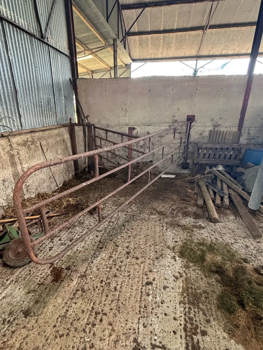 Heavy Duty Cattle Crush / Cattle Race- 15ft approx - Image 2