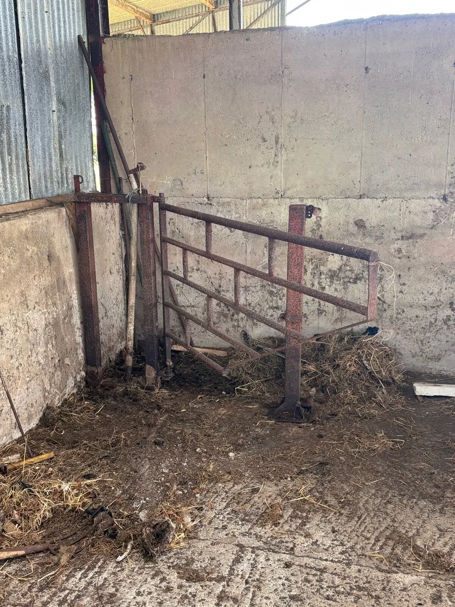 Heavy Duty Cattle Crush / Cattle Race- 15ft approx - Image 3