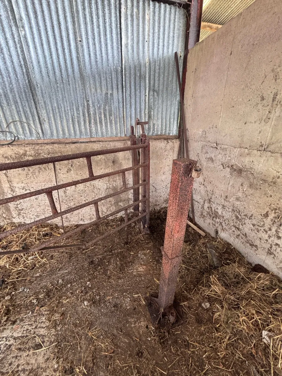 Heavy Duty Cattle Crush / Cattle Race- 15ft approx - Image 4