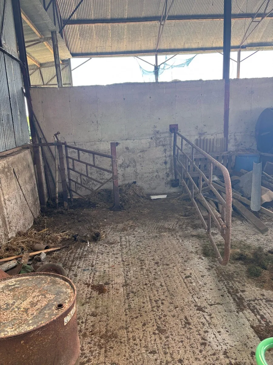 Heavy Duty Cattle Crush / Cattle Race- 15ft approx - Image 1
