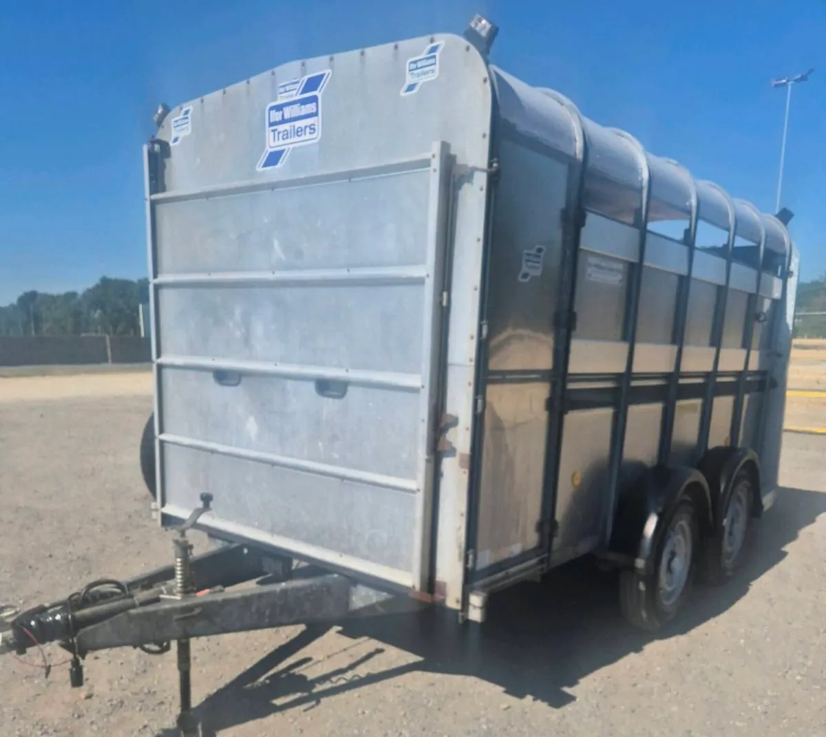 Ifor williams 12 x 6 cattle trailer - Image 3