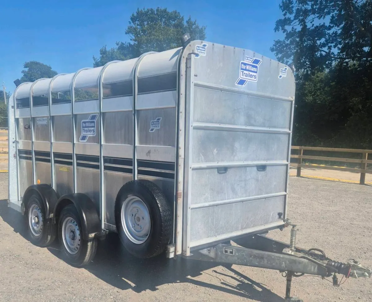 Ifor williams 12 x 6 cattle trailer - Image 1