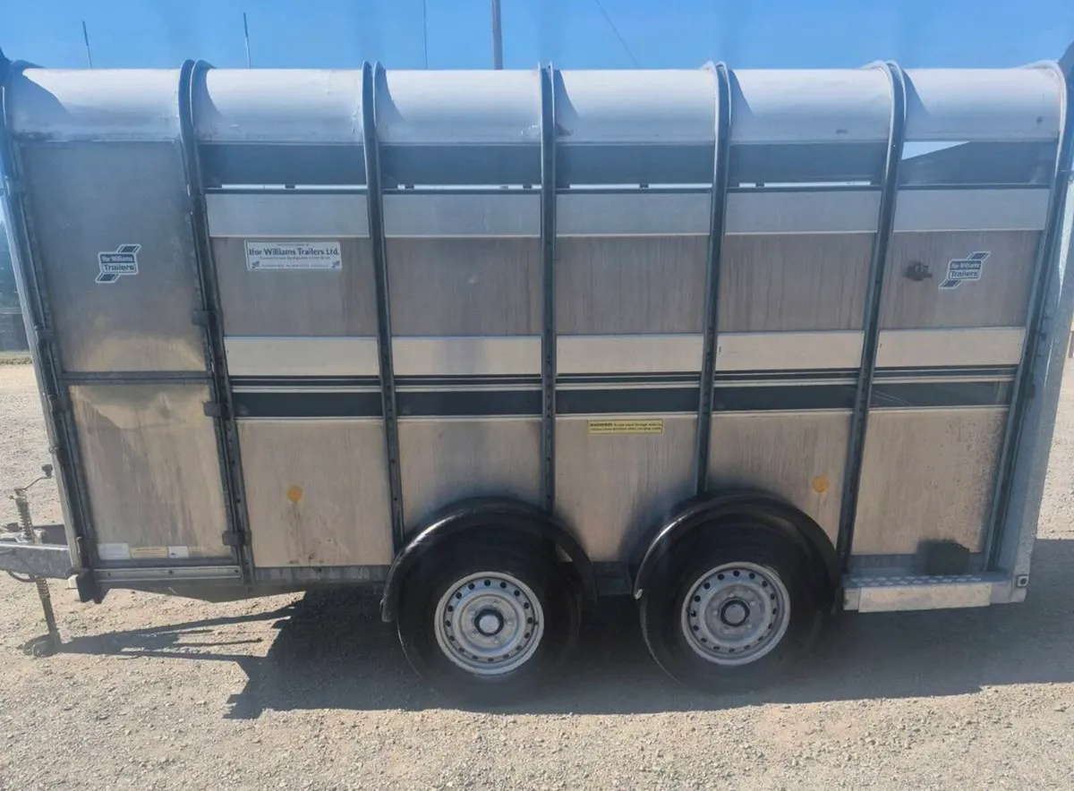 Ifor williams 12 x 6 cattle trailer - Image 4