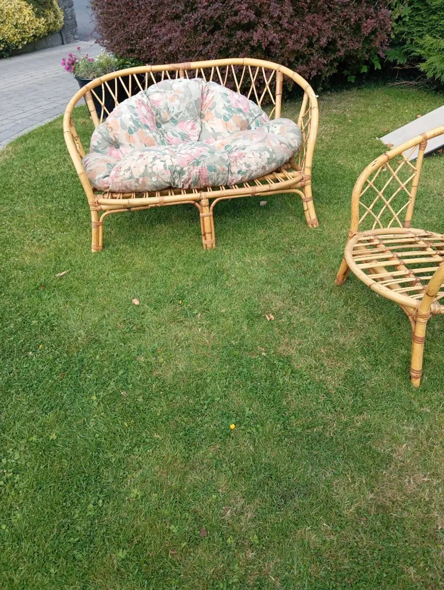 Cane seat and chair . - Image 1