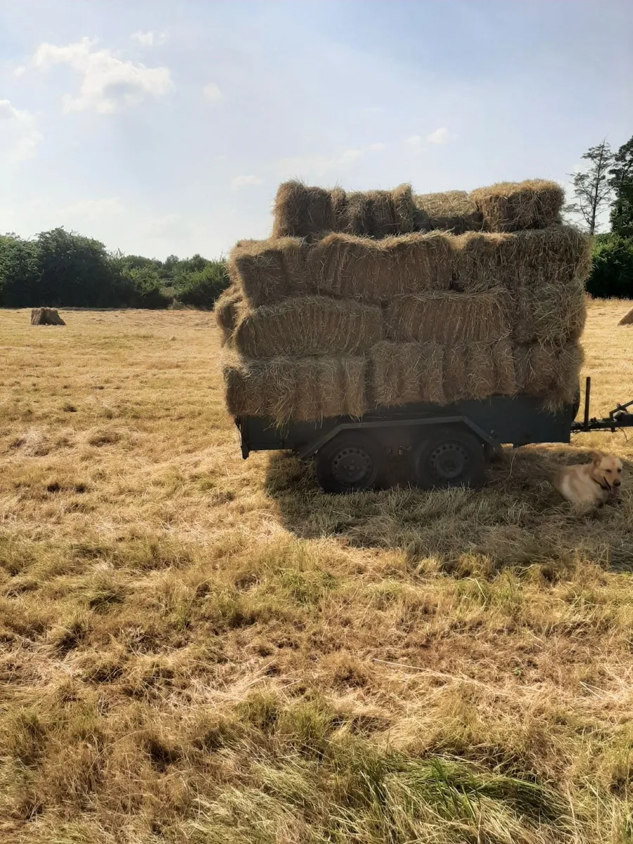 Old meadows organic hay bales - Image 1