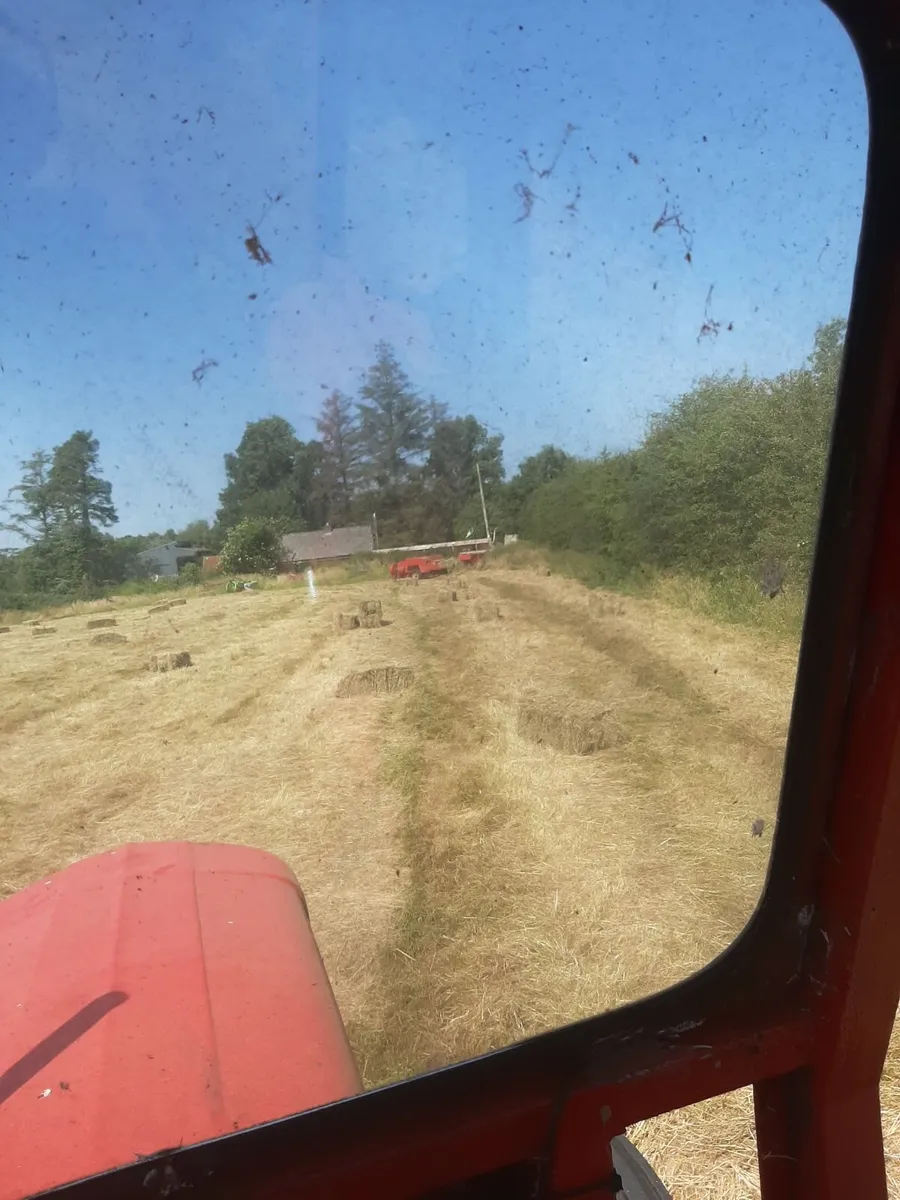 Old meadows organic hay bales - Image 2