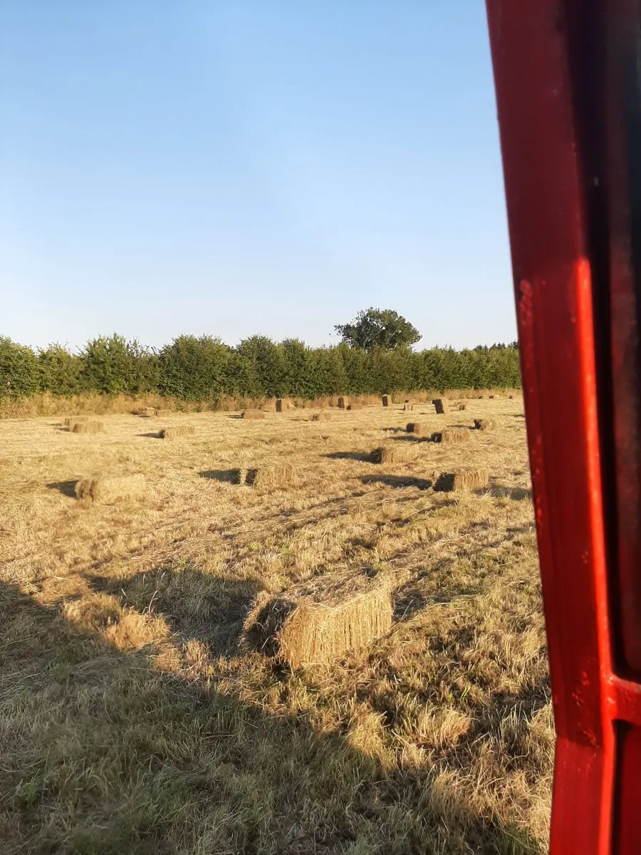 Old meadows organic hay bales - Image 3