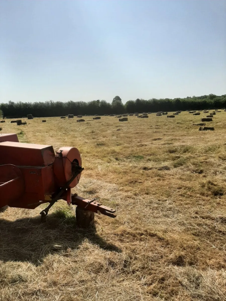 Old meadows organic hay bales - Image 4