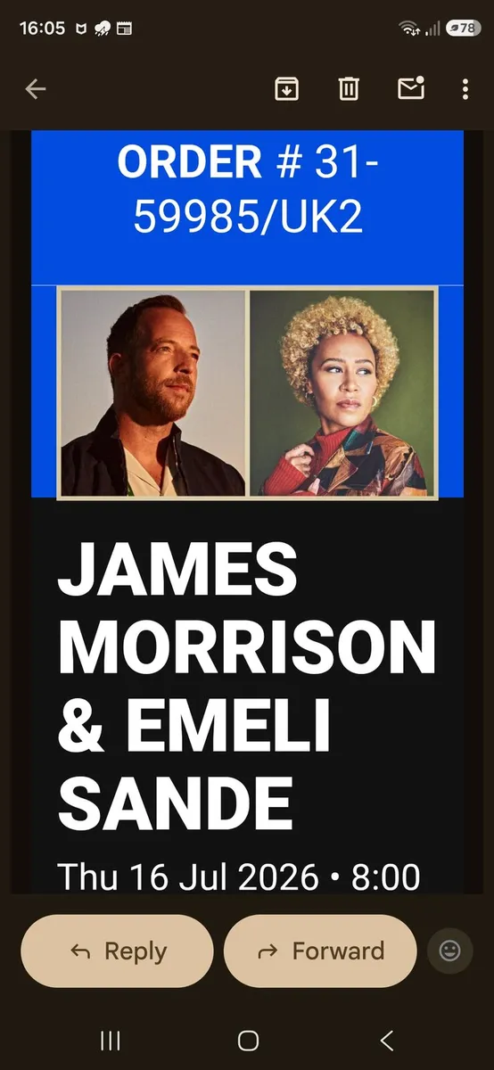 James Morrison & Emeli Sande gig - Image 2