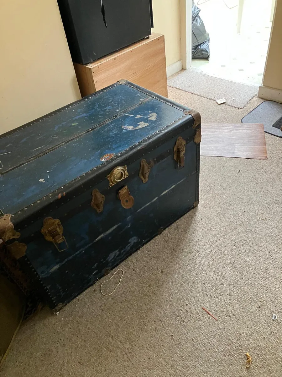 Travel trunk - Image 2