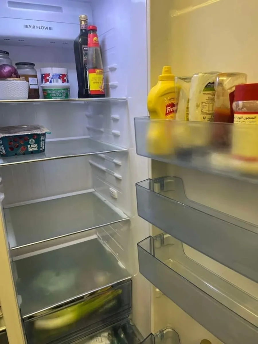 American Style Fridge Freezer - Image 4