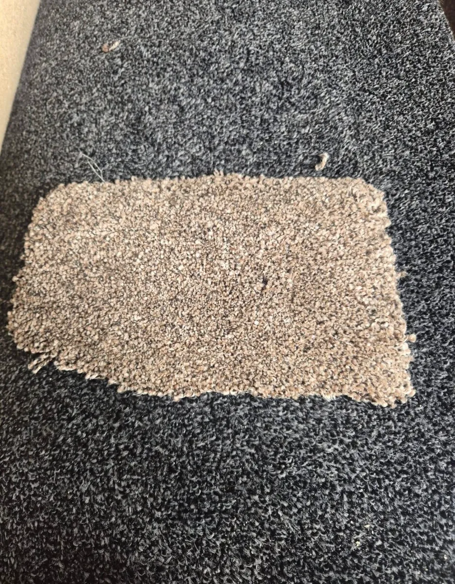 New carpet now available - Image 3
