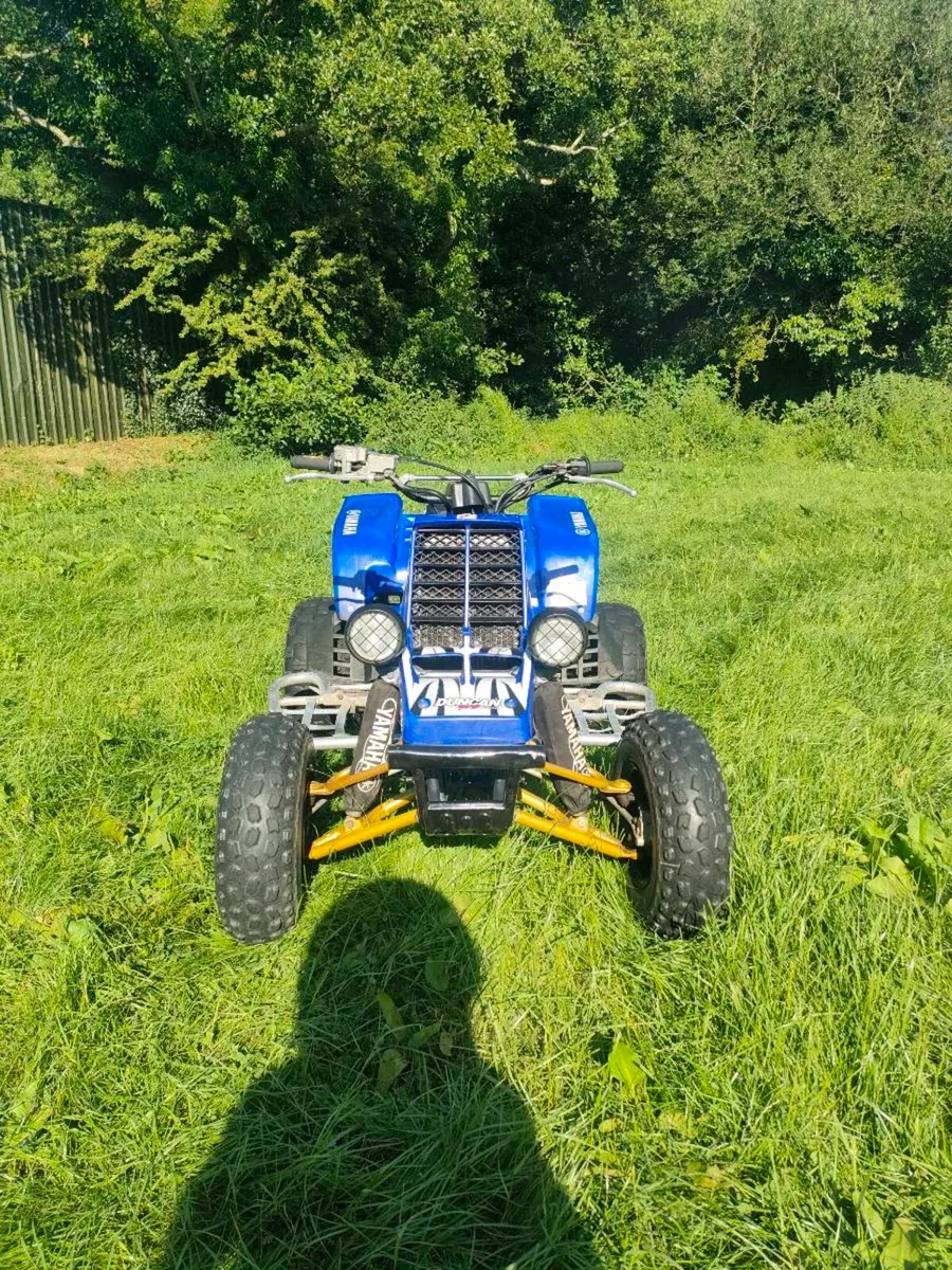 Yamaha banshee 350 - Image 2