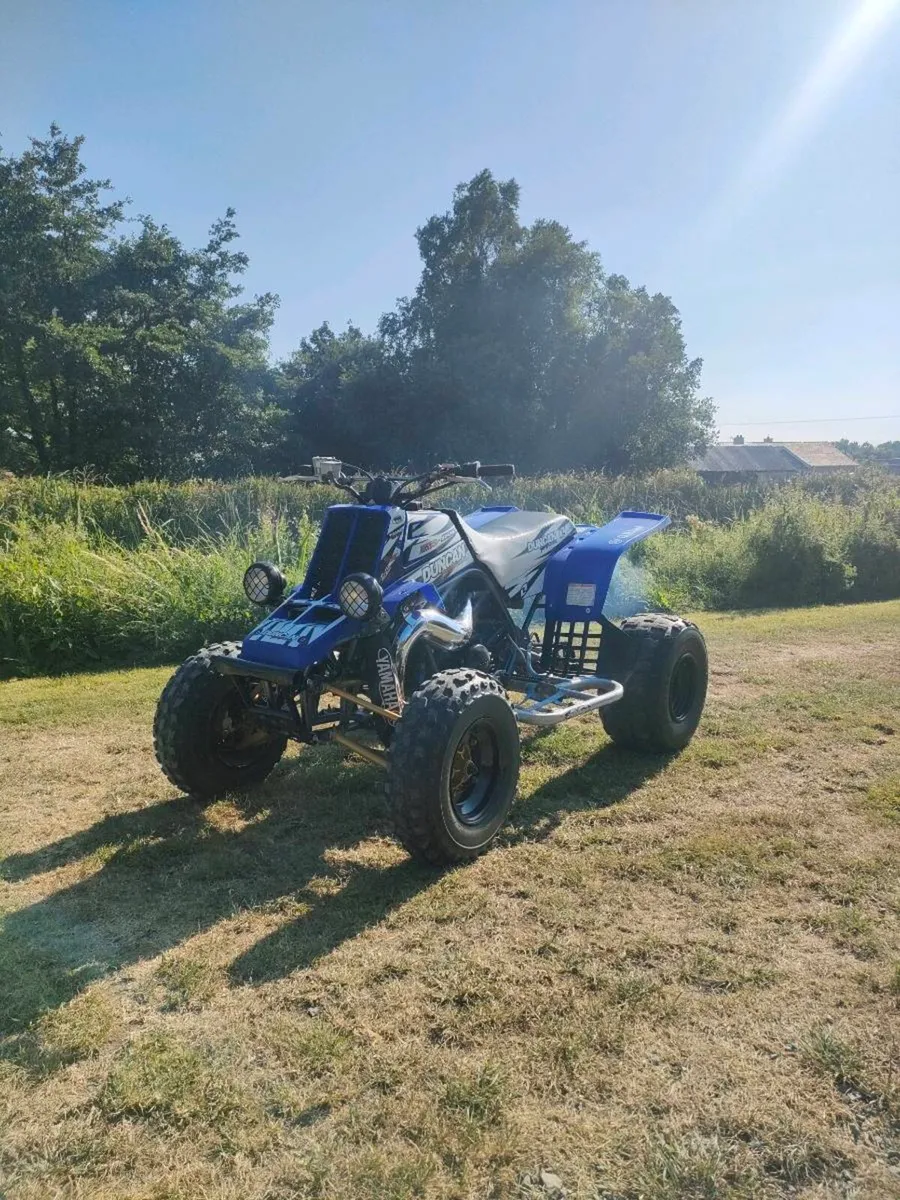 Yamaha banshee 350 - Image 4