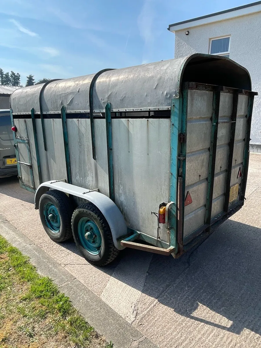 cattle trailer - Image 2