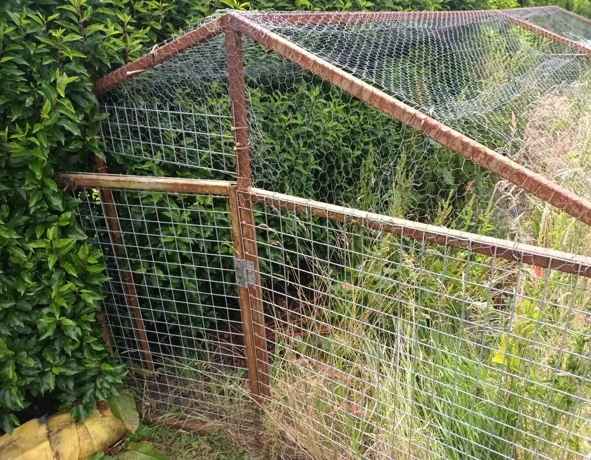 Dog run - Image 2