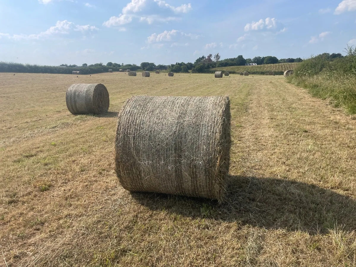 Round Hay bales