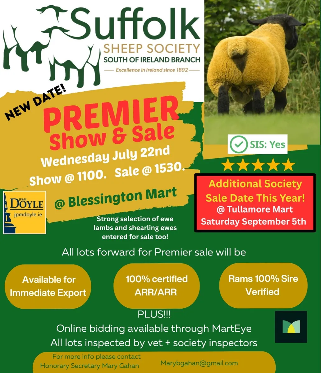 South of Ireland Suffolk Society Premier Sale