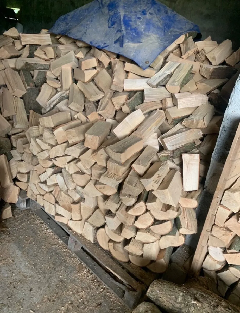 Ash hardwood - Image 1