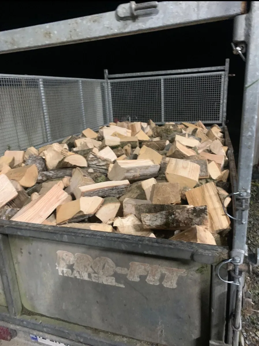 Ash hardwood - Image 2