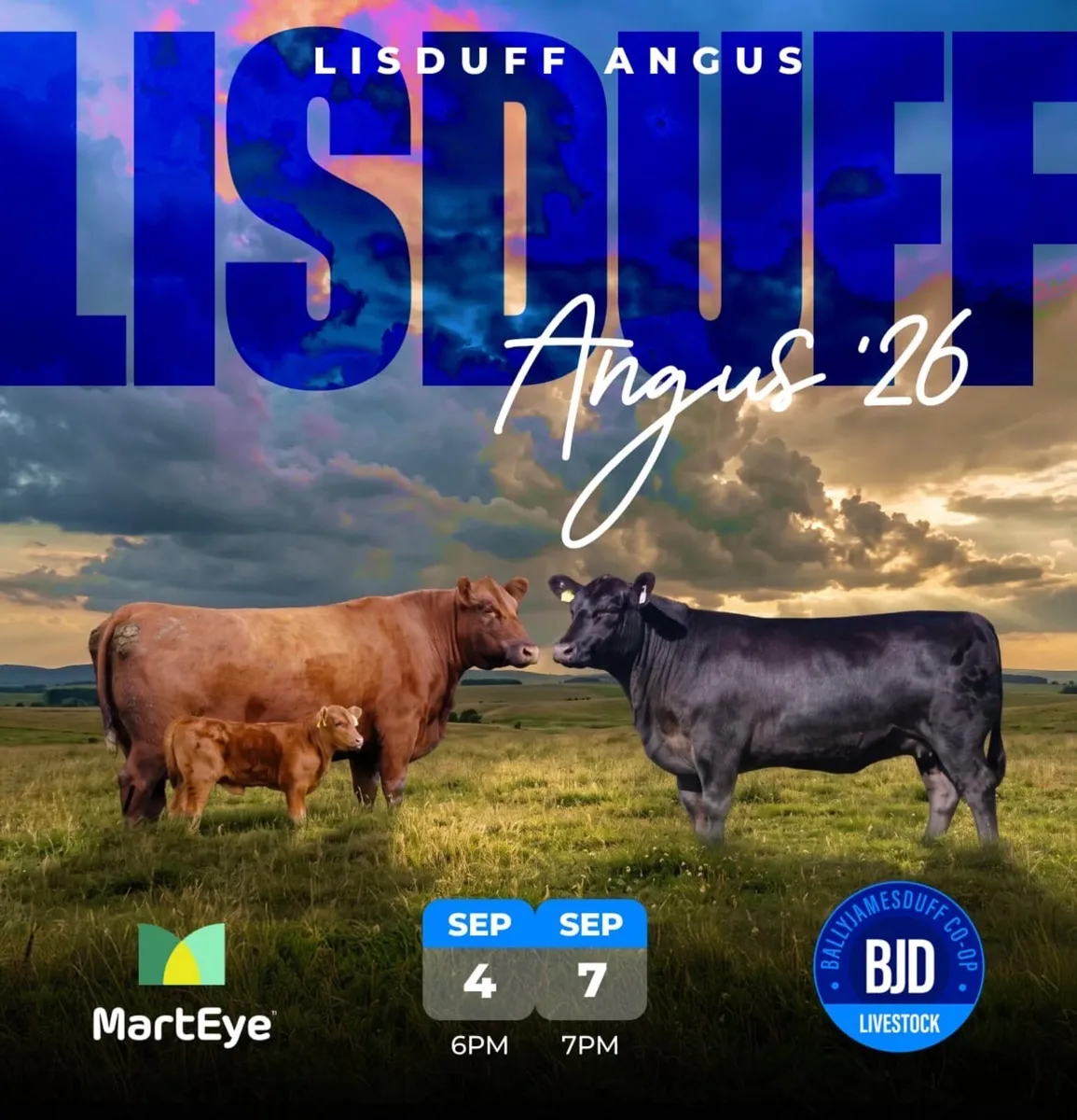 Lisduff Angus Heifer Sale - Image 1