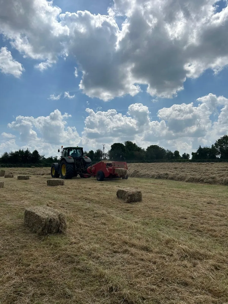 Small square hay bales - Image 1