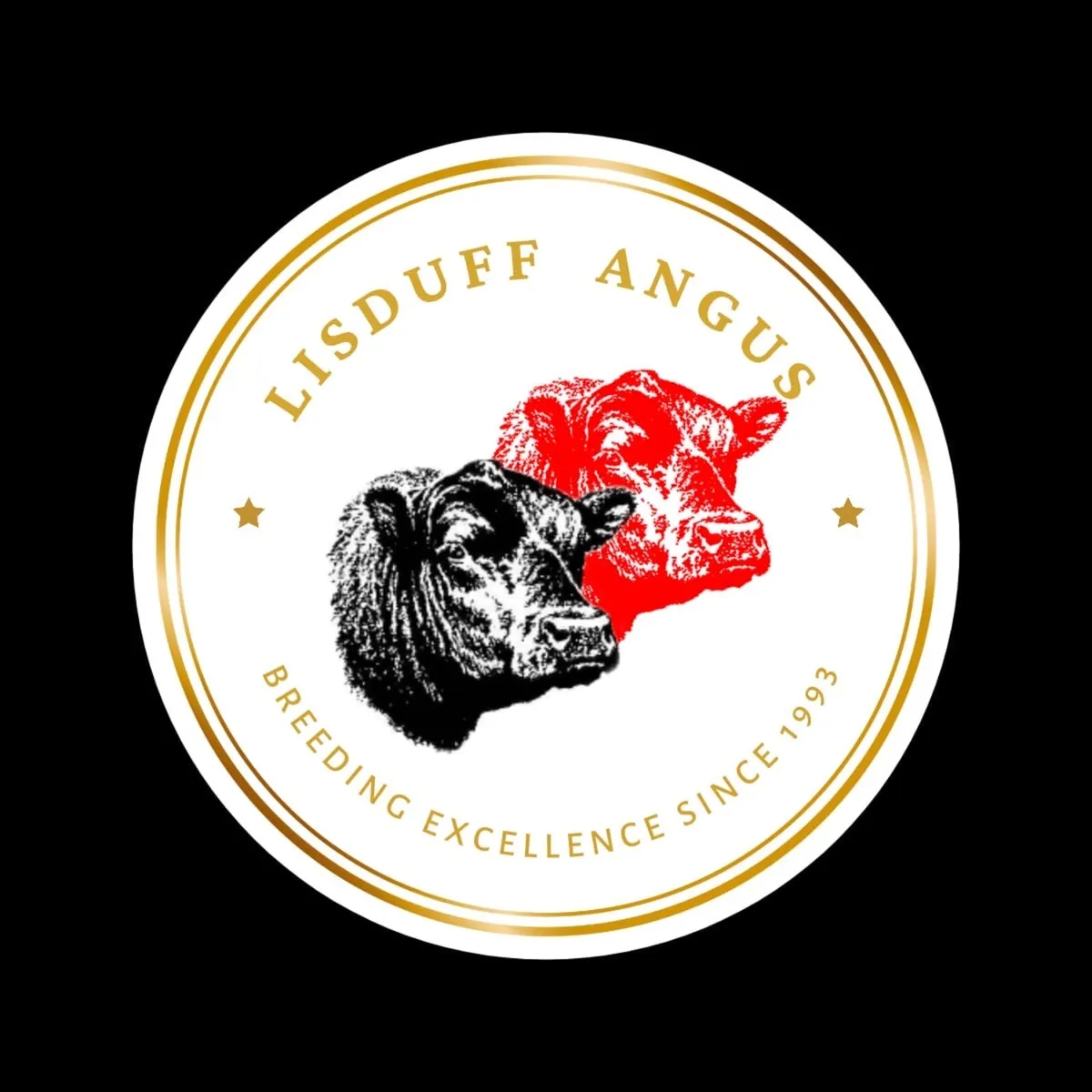 Lisduff Angus Heifer Sale - Image 4