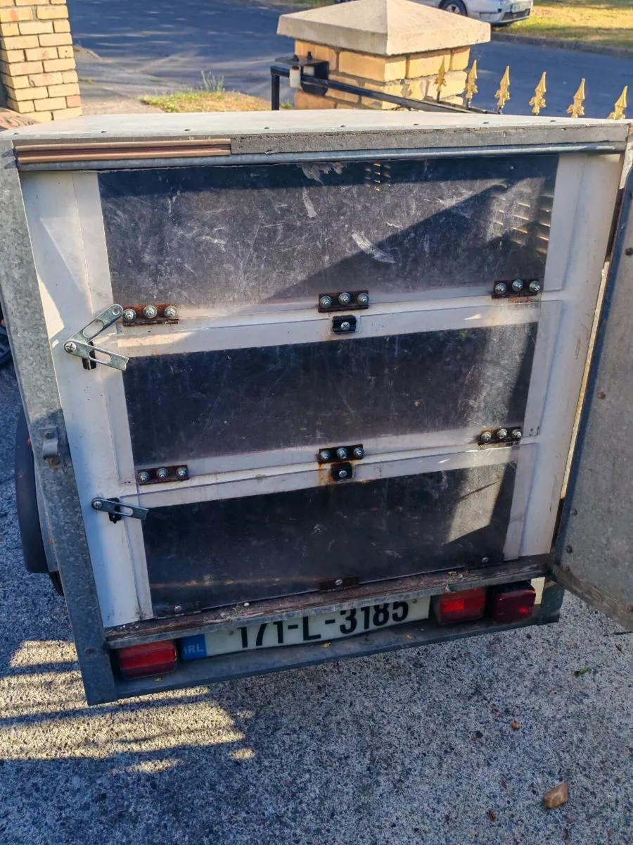 Racing Pigeons and Pigeon Trailer - Image 3