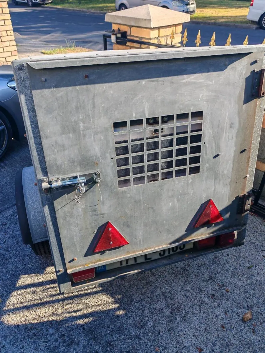Racing Pigeons and Pigeon Trailer - Image 4