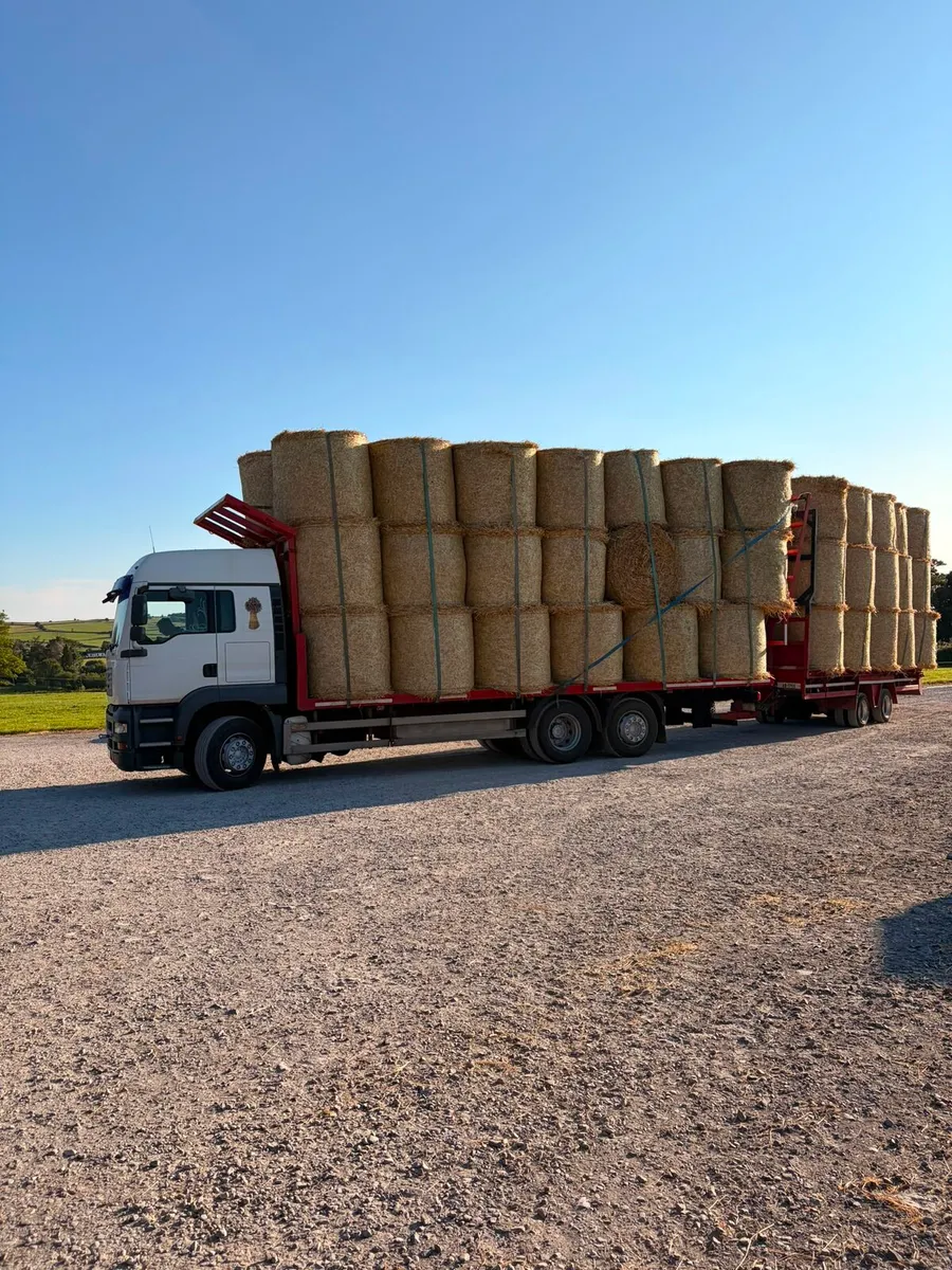 2026 barley straw ready 2 go - Image 1