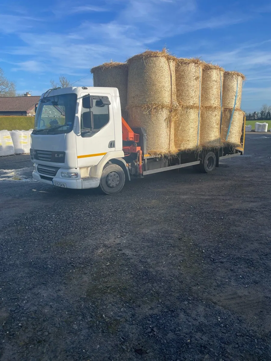 2026 golden barley straw - Image 2