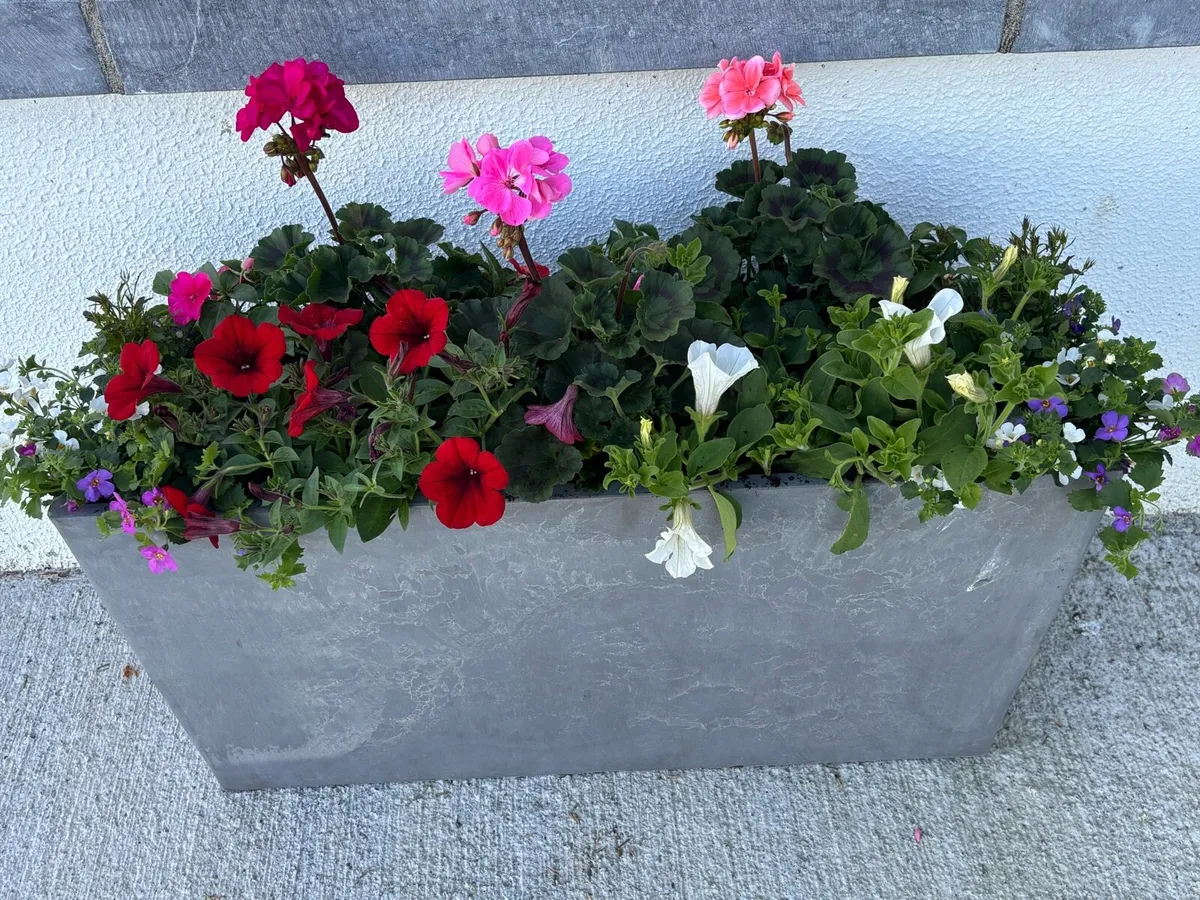 Outdoor planters - Image 4