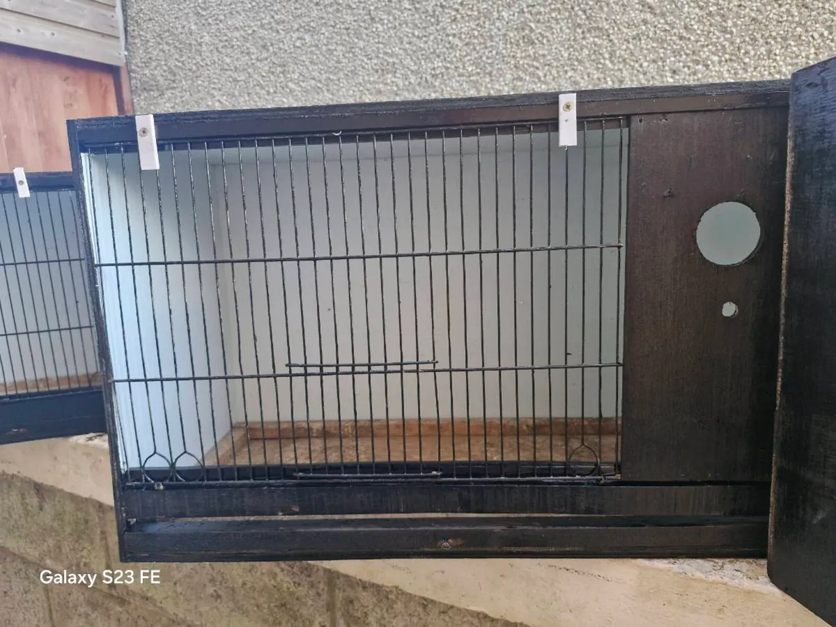 Bird cages ideal for finches - Image 1