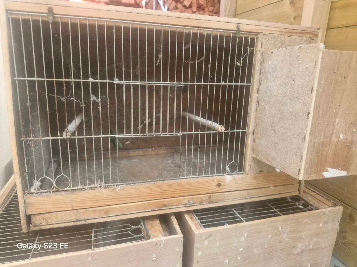 Bird cages ideal for finches - Image 2
