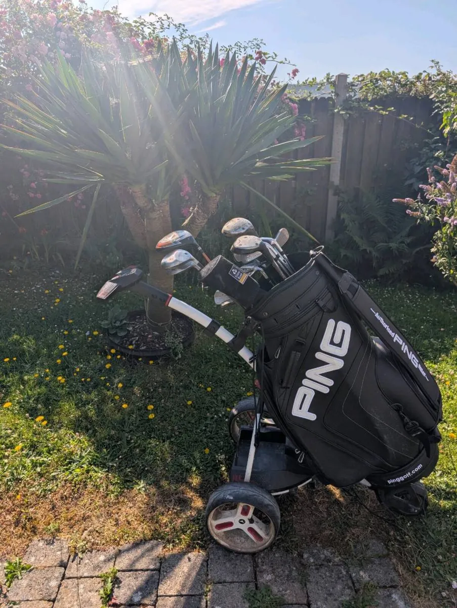 Adult beginner Golf clubs must go tonight - Image 1