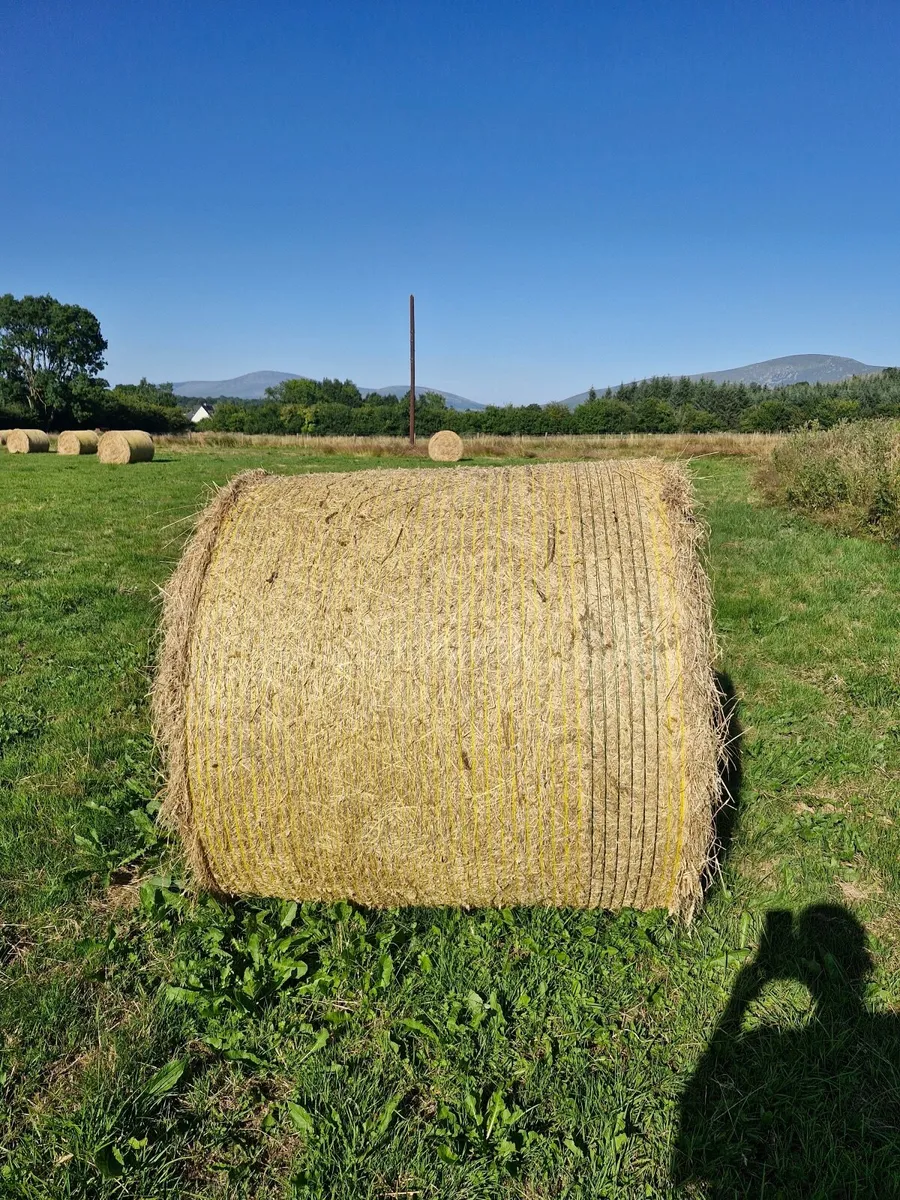 Hay Bales - Image 2